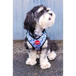 Dukier DOGTELLA