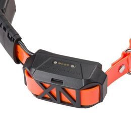 Canicom GPS Mini collar and receiver without stimulation