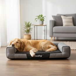 Reedog Bed Blue Strips