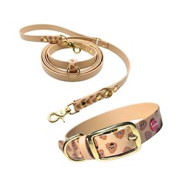 Reedog Gassi-Set Häufchen aus Biothane: HALSBAND + LEINE