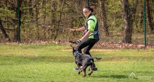 "Nie da się wytrenować psa bez wzajemnej komunikacji”: wywiad z profesjonalną kynolożką Michaelą Končulovą