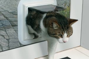 Dvířka pro psy a kočky vám ušetří teplo i čas!