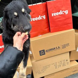 We brought the cookies you purchased to the H4P shelter