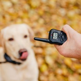 Wiederaufladbare Trainingshalsbänder oder mit Batterie? Wie man richtig auswählt und die Lebensdauer der Batterie aufrecht erhält