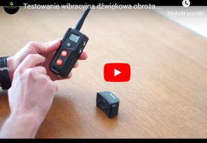 Video: Testowanie wibracyjna dźwiękowa obroża bez impulsu Petrainer PET916N, wibracja dla głuchych psów