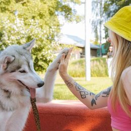 Dogtrace tréning nyakörv: a kutya és az ember közötti harmonikus kommunikáció kulcsa