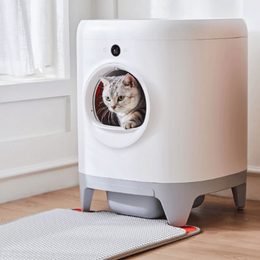 Wie wählt man eine Katzentoilette für eine neue Katze?