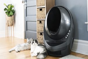 Litter Robot III - hogyan kell kicserélni a karbonszűrőt