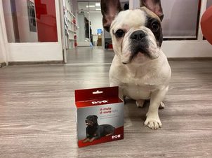 Dogtrace D-Mute Light - najlepsza obroża przeciw szczekaniu dla dużych psów