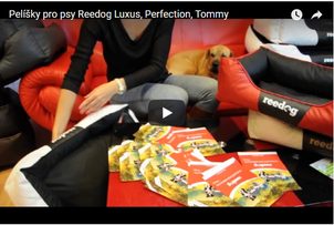 Video recenzia: Peliešky pre psy Reedog Luxus, Tommy, Perfection