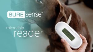Video: Čtečka čipů SureSense pro psy a jiná zvířata