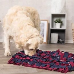 How to entertain a dog, sniffing rugs and licking pads