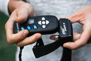 Dogtrace: cele mai bune coliere electronice de dresaj din Republica Cehă