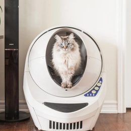 Litter Robot III - lumină galbenă intermitentă