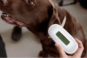 6 moderných spôsobov ako ustrážiť svojho psa - 2. diel: Prečo psa čipovať a na čo vlastniť čítačku čipov?