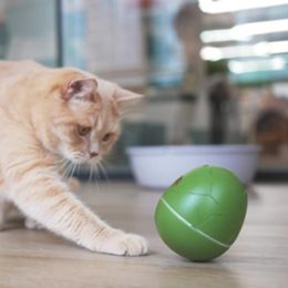 Interaktívna zábava pre mačky a malé psy: Cheerble Wicked Egg