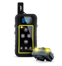 Ako fungujú elektronické výcvikové obojky? Využívajú dobre známy Pavlov reflex.