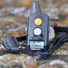 Dlaczego warto mieć obrożę treningową o zasięgu 1 km: Dogtrace d-control professional 1000 ONE