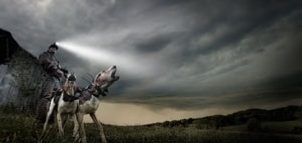 Udaný vs reálný dosah výcvikového obojku