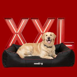 FINALLY A PROPER DOG BED!