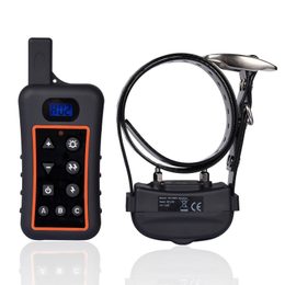 Potrebujete elektronický výcvikový obojok aby ste vycvičili psa?