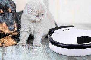 Inteligentní pečující technologie od Petwant nově k dostání u Reedog!