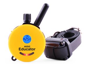 Elektronisches Trainingshalsband - wie wählen?