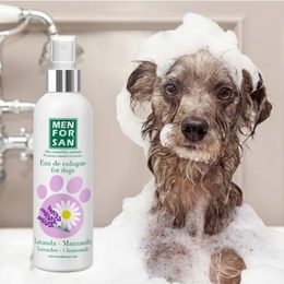 Menforsan scents for dogs will help eliminate odors and dirt even during the winter
