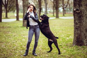 Jak oduczyć psa skakać?