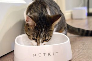 Petkit: Smart misky, kamery, vodítka a automatické dávkovače krmiva