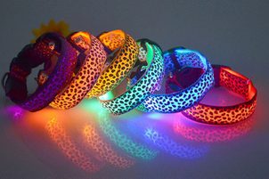 Svietiace obojky pre psy: Najlepšia výbava pre venčenie po tme