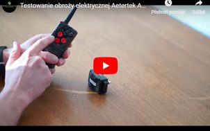 Video: Testowanie obroży elektrycznej Aetertek AT 216D