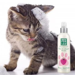 Menforsan scents for cats are mild and fragrant