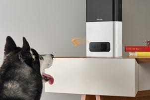 Najoceňovanejšia wifi kamera Petcube bites dohliada na váš domov, aj domácich miláčikov