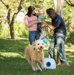 Nowoczesne wyrzutnie piłek - jak zabawić psa na długie godziny?