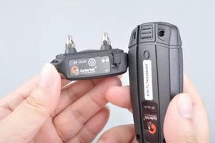 Video: Aetertek AT-211D Mini zgardă de dresaj pentru cele mai mici rase de câini