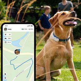 Beste GPS-Locators, Halsbänder und Tracker für Hunde und Katzen