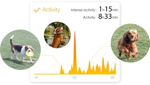 6 moderných spôsobov ako ustrážiť svojho psa - 5. diel: Monitor aktivity pre psy a mačky