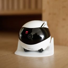 Camere video pentru câini