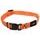 Halsband ROGZ Alpinist Kilimanjaro orange S