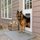 Dvere pre psov PetSafe® Extreme Weather hliníkové