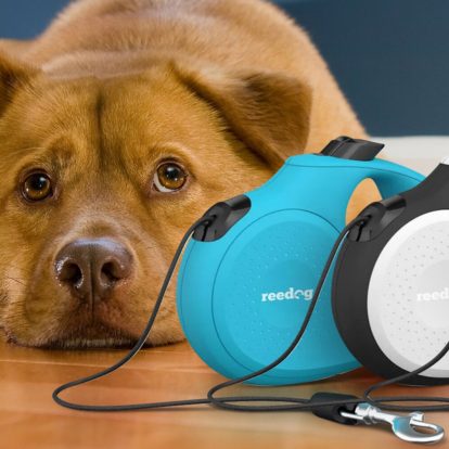 Choosing the Perfect Retractable Dog Leash in 7 Steps