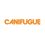 Canifugue