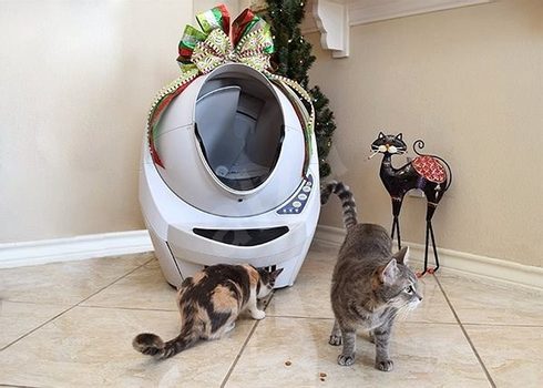 Kuweta litter shop robot