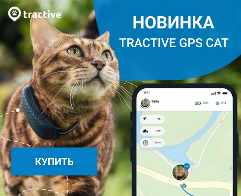 GPS Tractive cat
