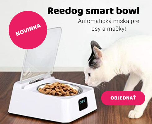 Smart bowl miska