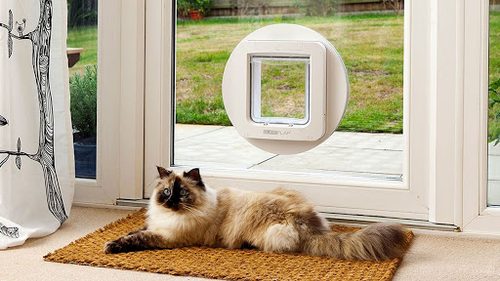 Cat flap with outlet app