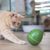Interaktív szórakozás macskáknak és kistestű kutyáknak: Cheerble Wicked Egg