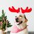 Gift Guide for Dog and Cat Owners: How to Delight Pets and Their Humans