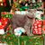 Nápady na vánoční dárky pro vaše kočičí kamarády